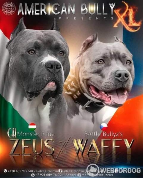 Waffy & Zeus rodiče