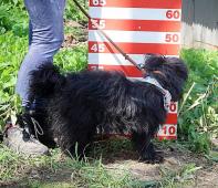 Náhľad