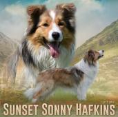 otec Sunset Sonny Hafkins