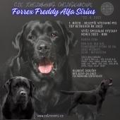 Forrex Freddy Alfa Sirius