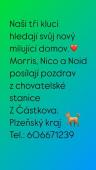 Náhľad