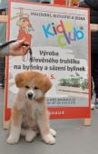Náhľad