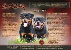 rottweiler s pp