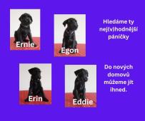 Poslední kluci do nových domovů