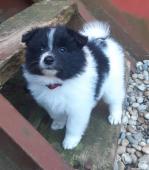 Chloe