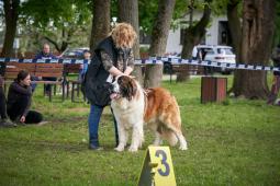 Tatínek Igadar Strážca Abelandu