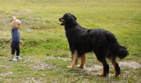 Baronka Belka Bafoco