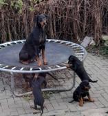 matka Nikita Antis a děti 7 týdnů