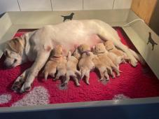 s maminkou ve věku 10 dni