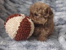 RUSKÁ BAREVNÁ BOLONKA