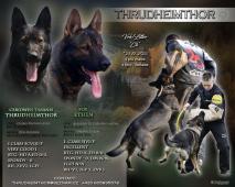 Německý ovčák s PP