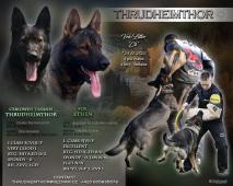 Německý ovčák s PP