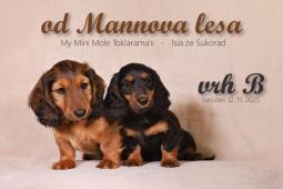 S bráškou, který už své parťáky našel :)