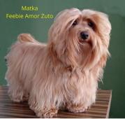 Matka - Feebie ze stanice Amor Zuto
