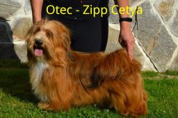 Otec - Zipp Cetya ze stanice From Bohemica Land