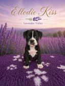 Štěňátka kontinentální buldok s PP FCI