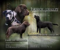 Labradorský retrívr štěňátka s PP