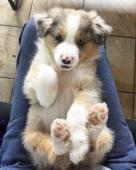 Lovely female need a peaceful home again