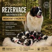 Berry z Elitní gardy x Chezza z Jakubky