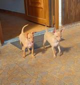 Xena a Xsaver