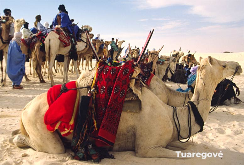 Azavak Tuaregové na WEBFORDOG