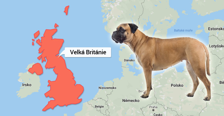 Byllmastif - mapa Velká Británie