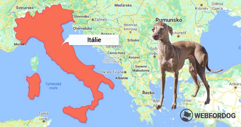 Itálie - původ Italského chrtíka