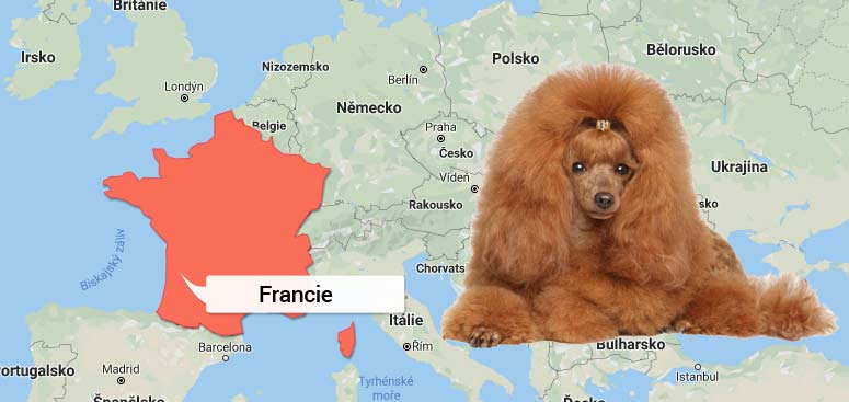 Mapa Francie a původ plemene Pudl na WEBFORDOG