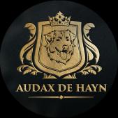 Náhľad